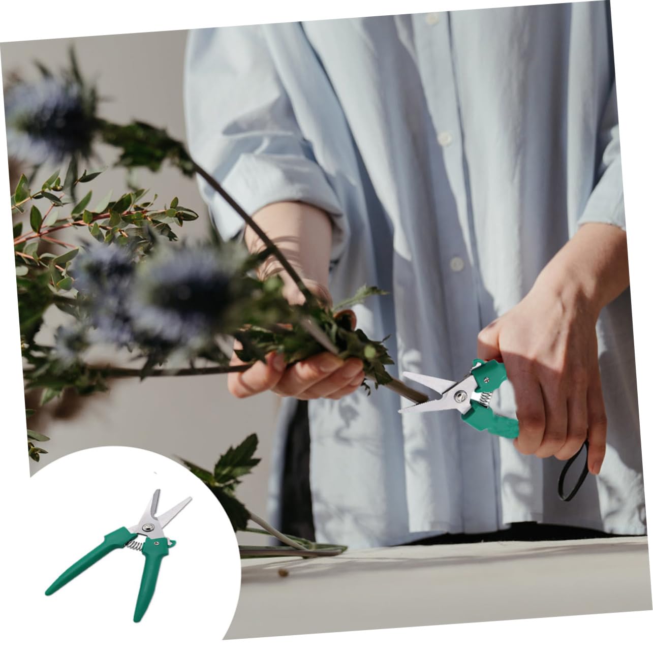 TOYANDONA 2 Piezas Tijeras De Podar Jardinería Tijeras De Rama Cortador De Uva Corte Tijeras De Arbustos Tijeras Para Podar Plantas Tijeras De Jardín Acero Inoxidable Verde