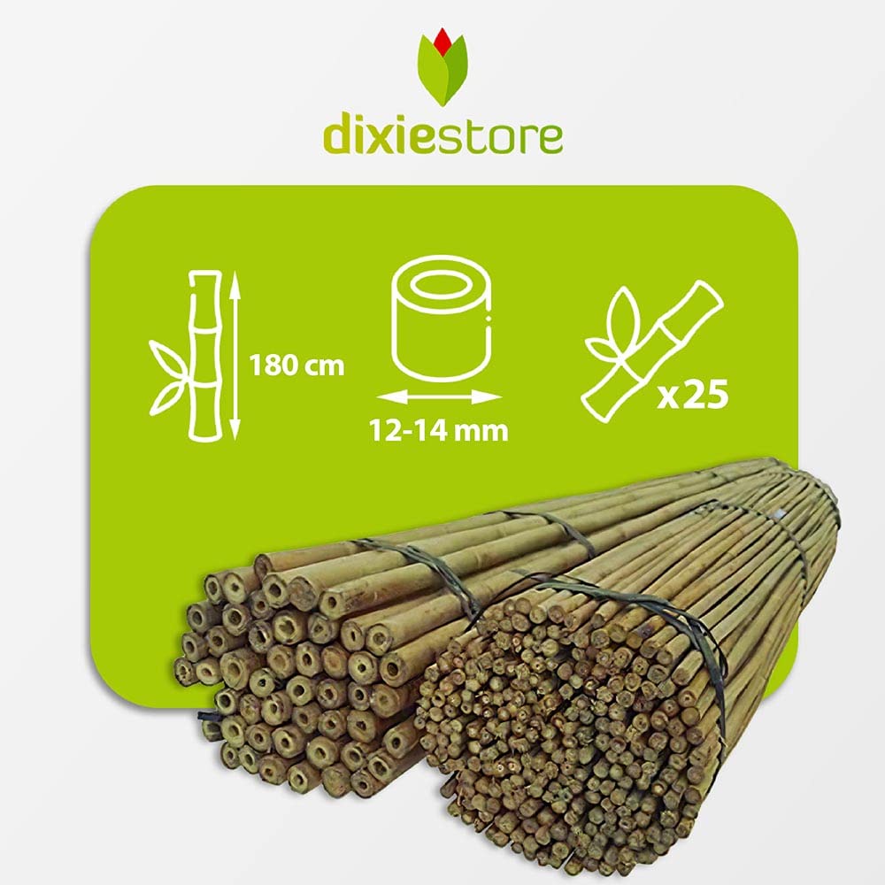 Dixiestore Baguettes en Bambou | Poteaux en Bambou Ensemble de Supports de Fleurs | Lot de 25 Piquets de Plantes Très Résistants 180 Cm x 12-14 Mm