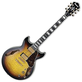 Amazon.com: Ibanez Artcore Expressionist AF95FM - Antique