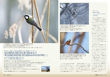 BIRDER(バーダー)2018年11月号 森の妖精 カラ類 | BIRDER編集部