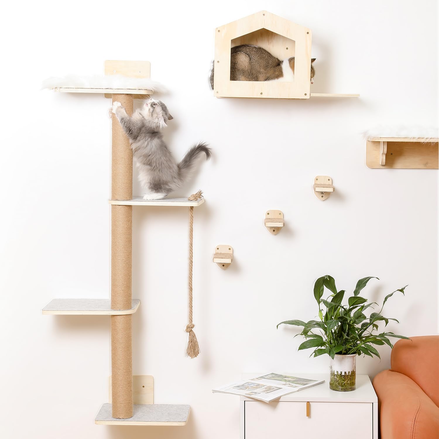 Katzen-Wandregale, Holz, Wandmontage, Katzenmöbel mit 4 Ebenen, 1 Katzenwandhaus, 2 Katzen-Sitzstangen und 3 Wandstufen, Kletterkatzenregale für Wand, große Katzen