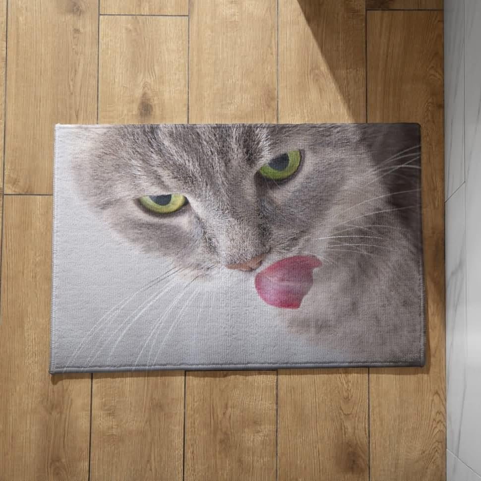Felpudo de entrada con diseño de gato para dar la bienvenida a tu hogar, 50x80cm