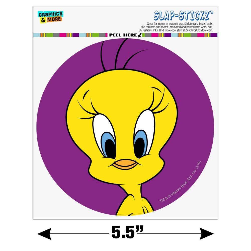 Amazon.com - Looney Tunes Tweety Bird Automotive Car Window