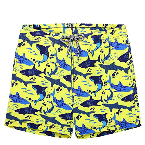 Image of Biwisy Boys Swim Trunks Quick Dry Swim Shorts Little Boys Lining Swimwear Bathing Suits with Pockets
