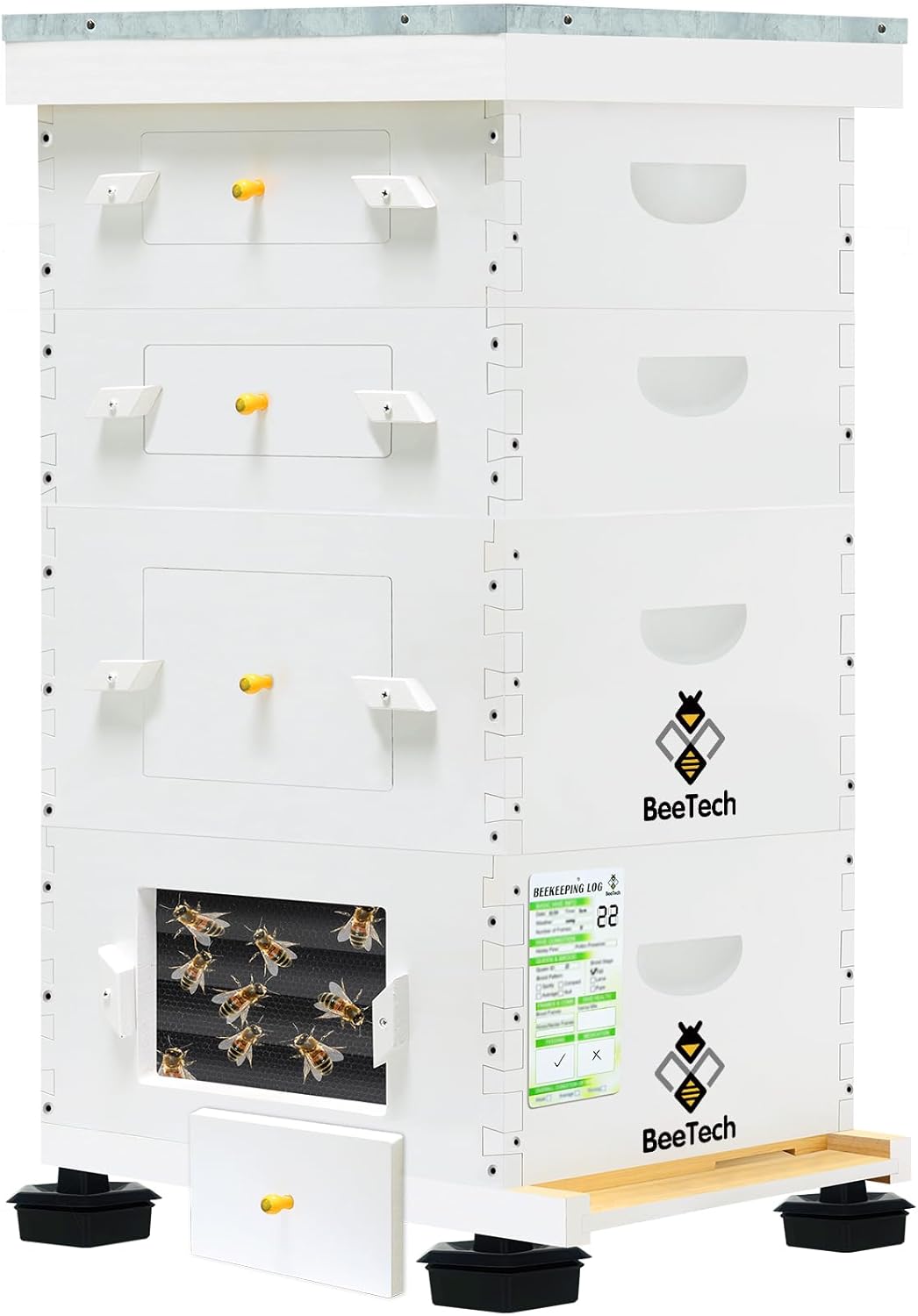 Newest Windows 10 Frame Beehive Hand Painted Includes Unassembled Bee Hive Box with Beehive Frames and Foundations (2 Deep & 2 Medium)
