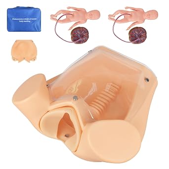 Female Childbirth Model, Labor Simulator