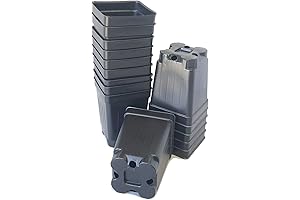 Square DEEP Black Plastic Nursery Pots For Seedlings