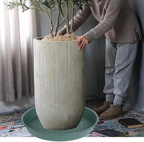 Bleuhome Piattino Per Piante Da Giardino (66 Cm, Verde) - 6