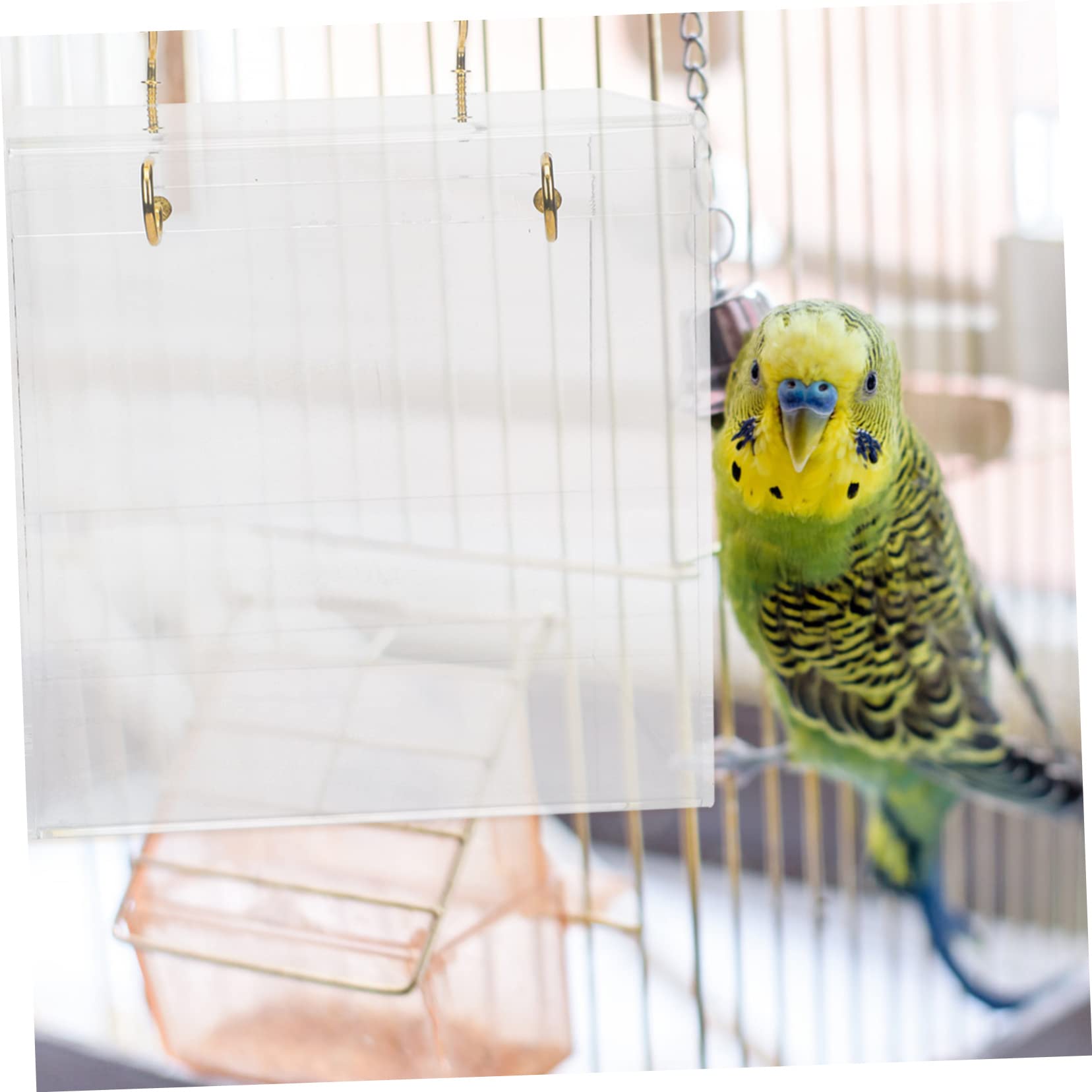 Housoutil Vasca per Doccia per Uccelli Bianca in Plastico per Pappagalli | 1 Pezzo, Uso per Bagno e Gioco, Adatta a Voliera e Accessori per Uccelli Domestici
