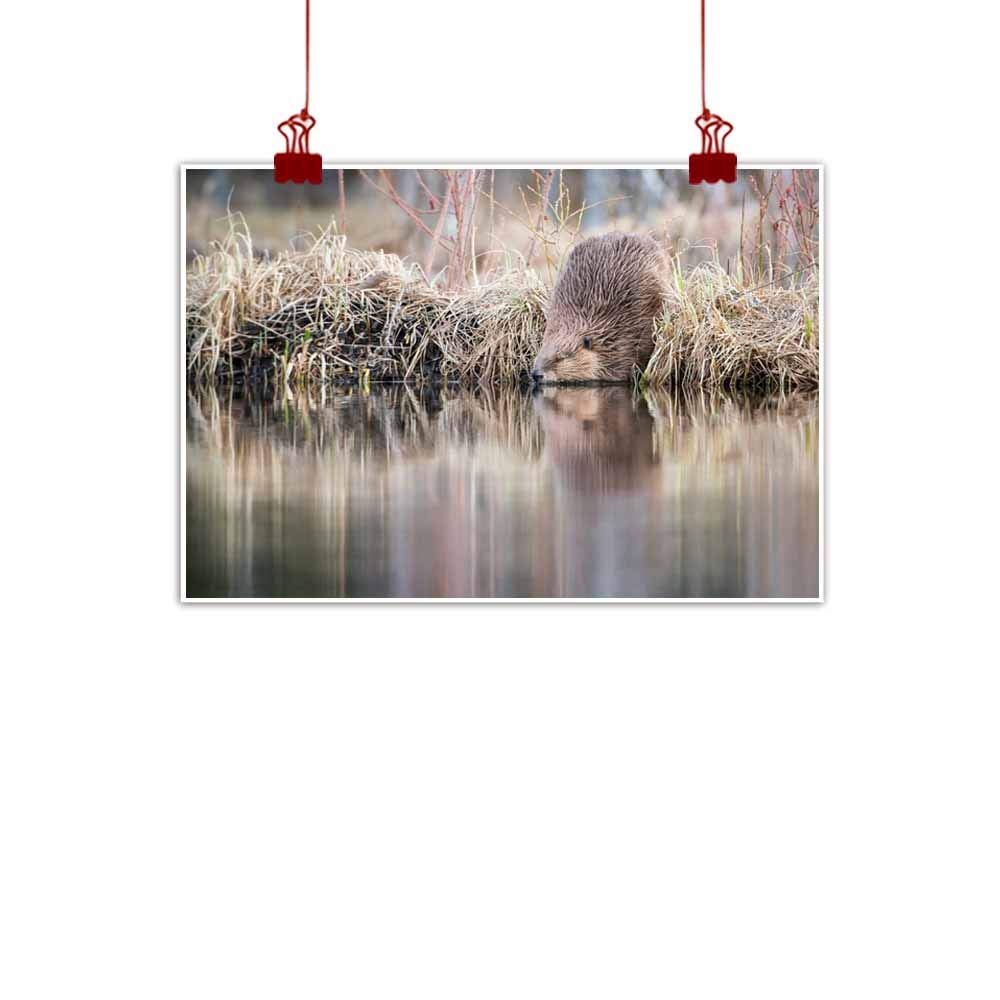 Beaver Board Stencil Pattern FREE PATTERNS