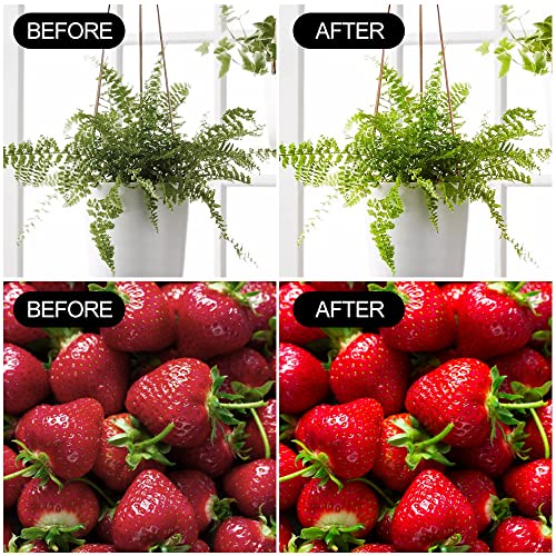 Mfxmf 2 Pack Led Grow Light Bulbs A19 Bulb, Full Spectrum Plant Light Bulb thumb #5