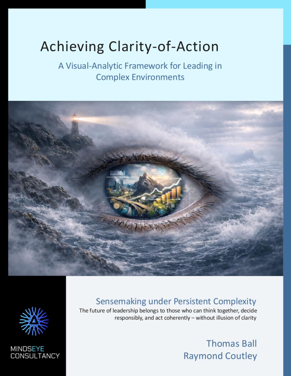 Achieving Clarity-of-Action: A Visual-Analytic Framework for Leading in Complex Environments