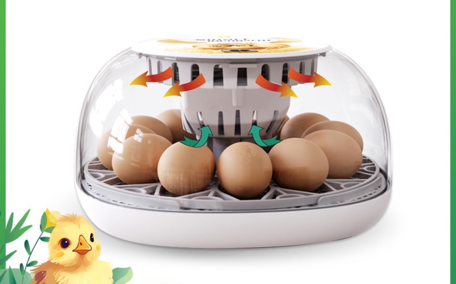 Incubatrice Automatica per Uova 12 Pezzi, Incubatrice Domestica Intelligente con Aggiunta d'Acqua Automatica, Controllo della Temperatura, Visiva, per Polli, Anatre, Oche e Uova di Piccoli Animali