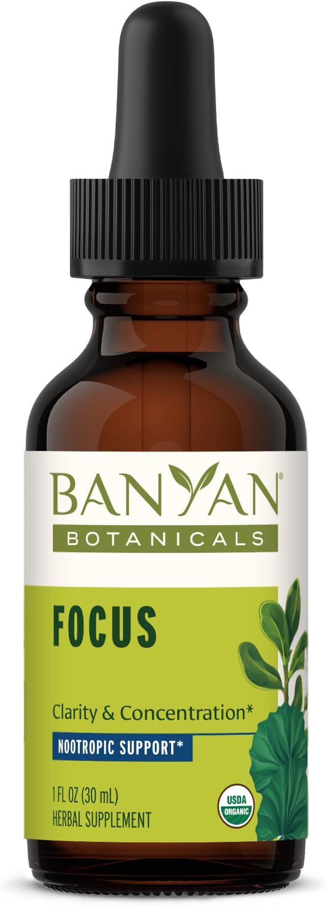 Banyan Botanicals Focus Liquid Extract – Organic Focus Supplement – Liquid Extract in Non-Alcoholic Glycerin – Nootropic Herbs for Fast-Acting Support* – 1 oz. – Non-GMO Sustainably Sourced Vegan
