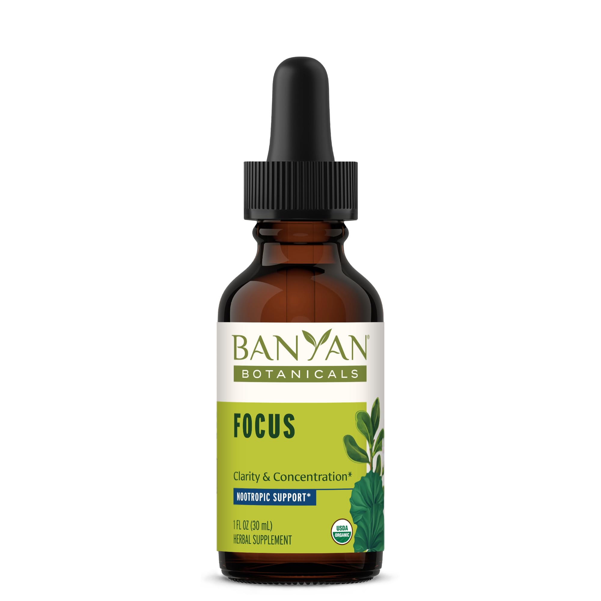 Banyan Botanicals Focus Liquid Extract – Organic Focus Supplement – Liquid Extract in Non-Alcoholic Glycerin – Nootropic Herbs for Fast-Acting Support* – 1 oz. – Non-GMO Sustainably Sourced Vegan