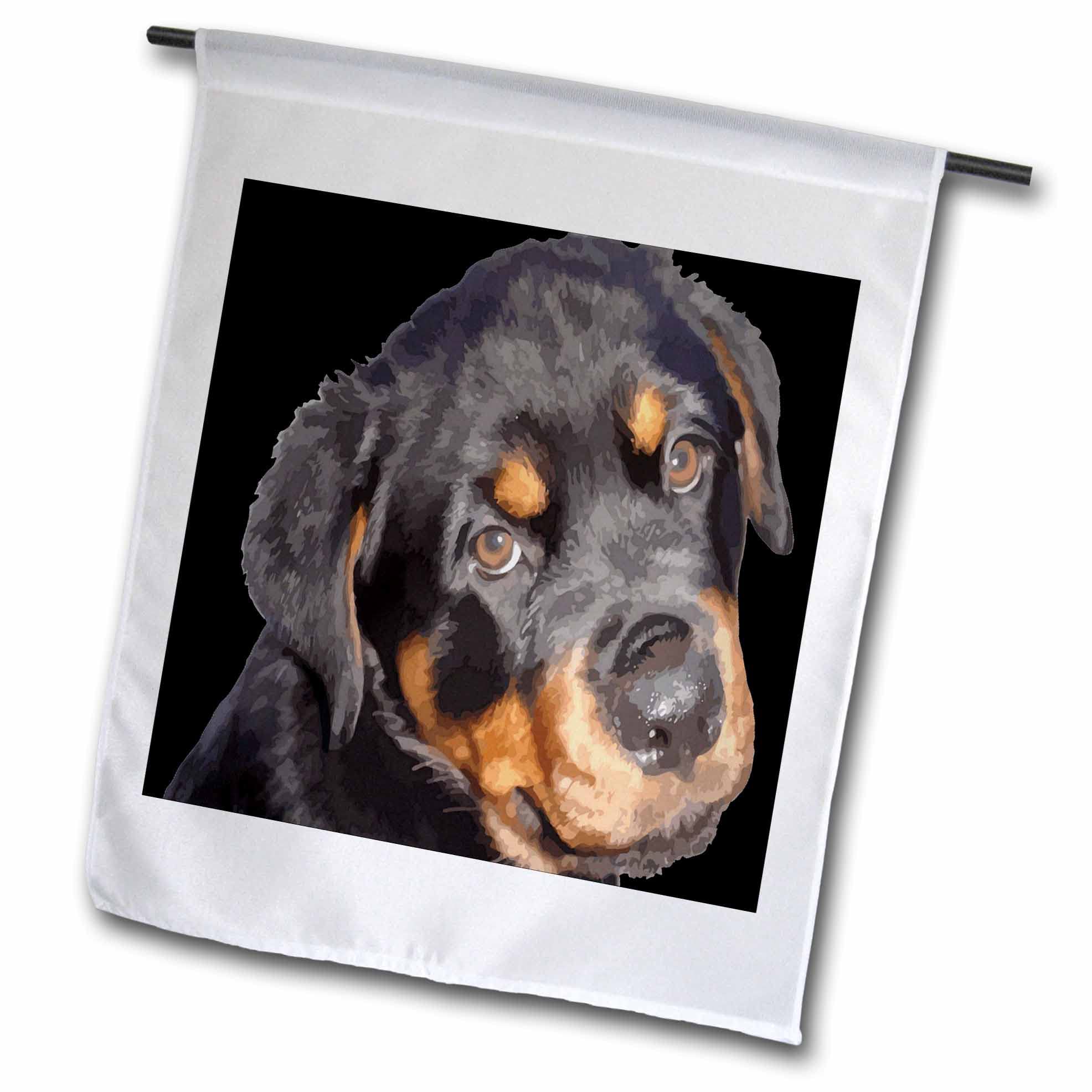 3dRose Female Rottweiler Puppy Making Eye Contact Vector - Flags (fl_353240_1)