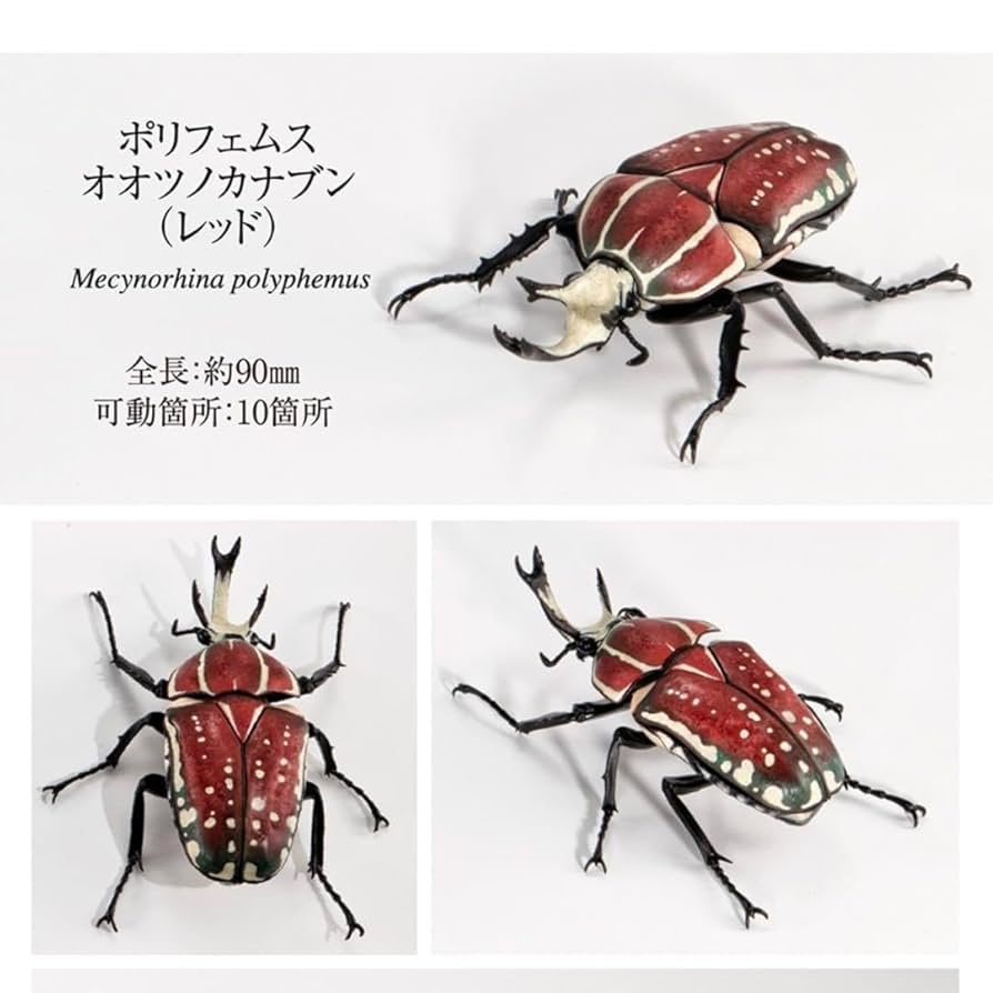 Amazon | [オンライン版]いきもの大図鑑かぶとむし08 ポリフェ