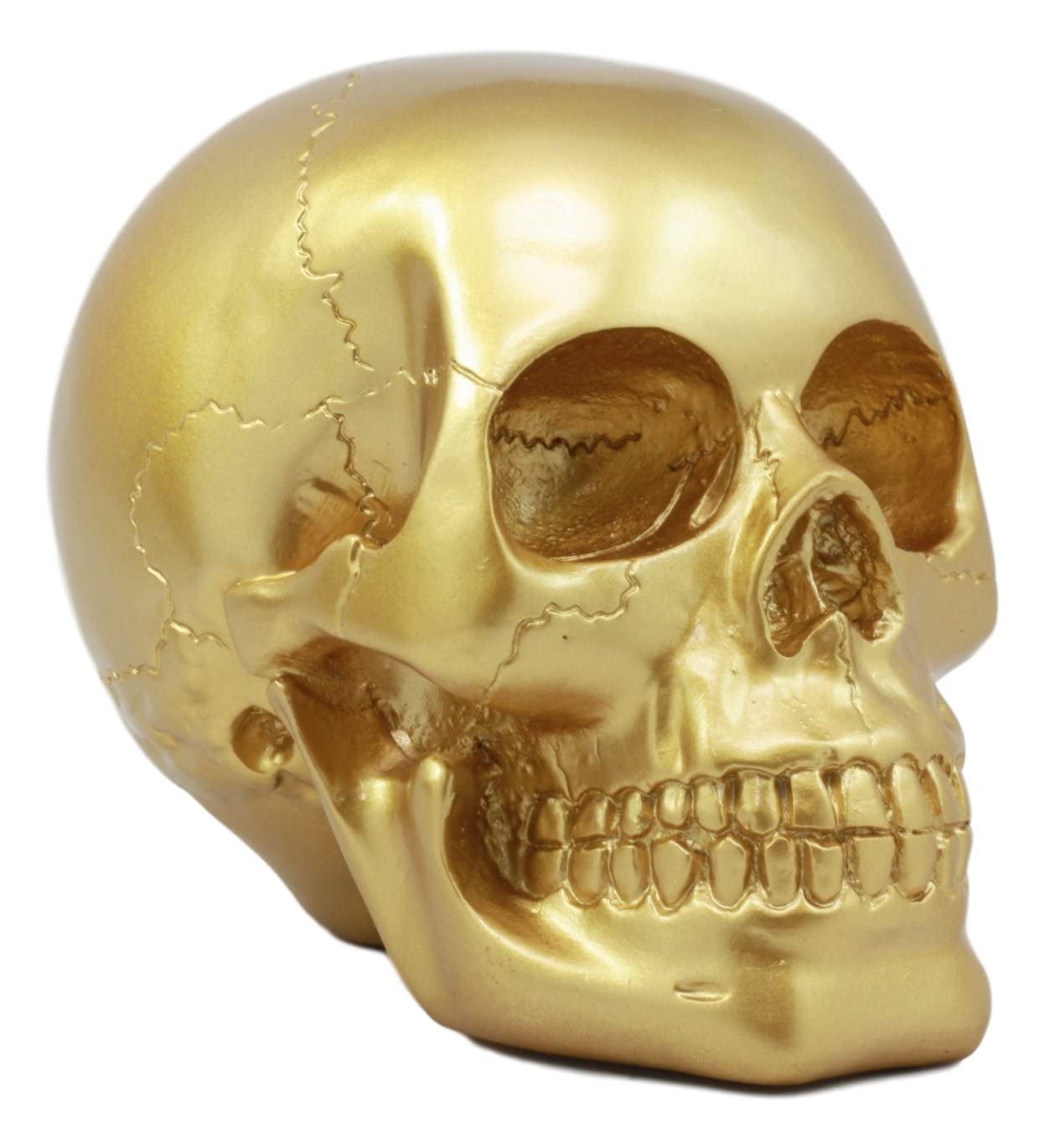 Amazon.co.jp: Ebros Pirate 's LootゴールドスカルStatue Day of the