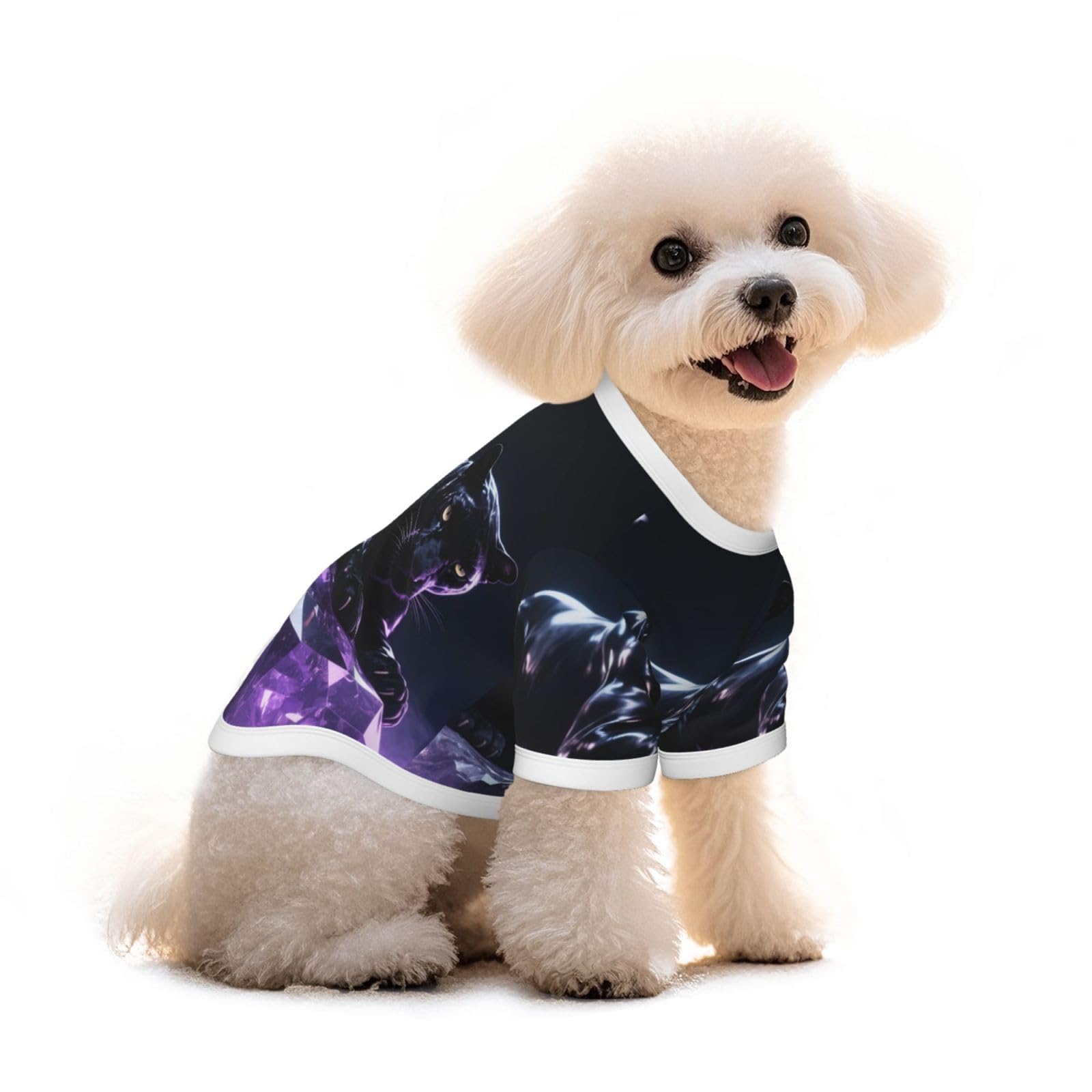 T-shirt pour chien pour la promenade quotidienne des teckels et chiots