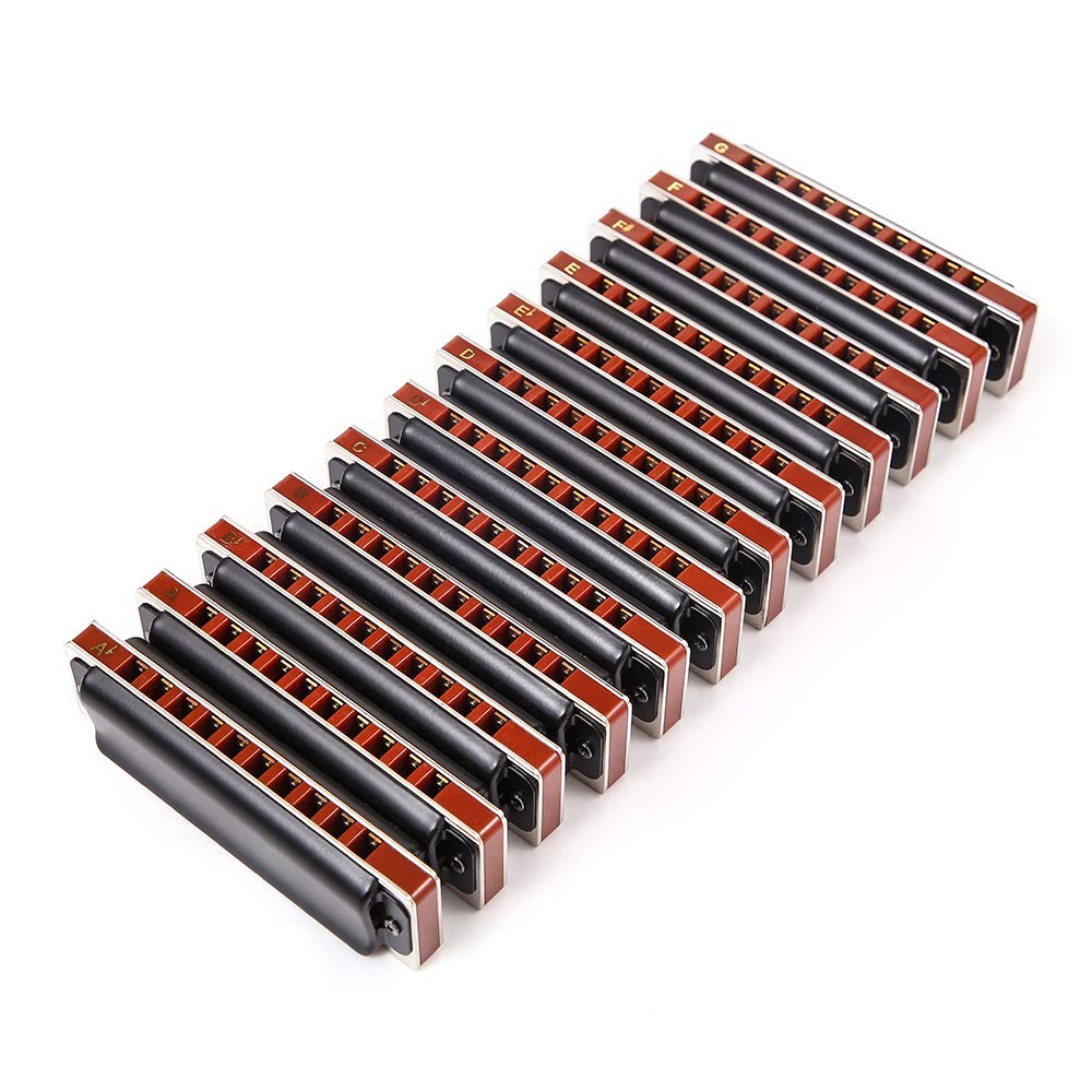Diatonic Blues Harmonica10-Hole Harmonica T008K Set 12 Sets for Beginners, Students, Adults, Performers, Harmonica with Box (black)