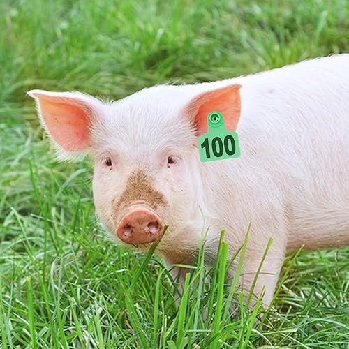 Miniatura 7 de Etiqueta de oreja de cerdo con alicates para ovejas de cerdo con kit perforador número 001-100 (verde)