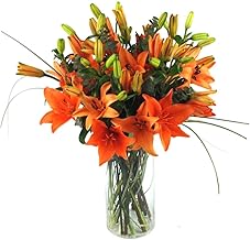 Clare Florist Orange Tiger Lilies Fresh Flower Bouquet - Stunning Orange Lilies Expertly Arranged by Florists for a Fantastic Gift