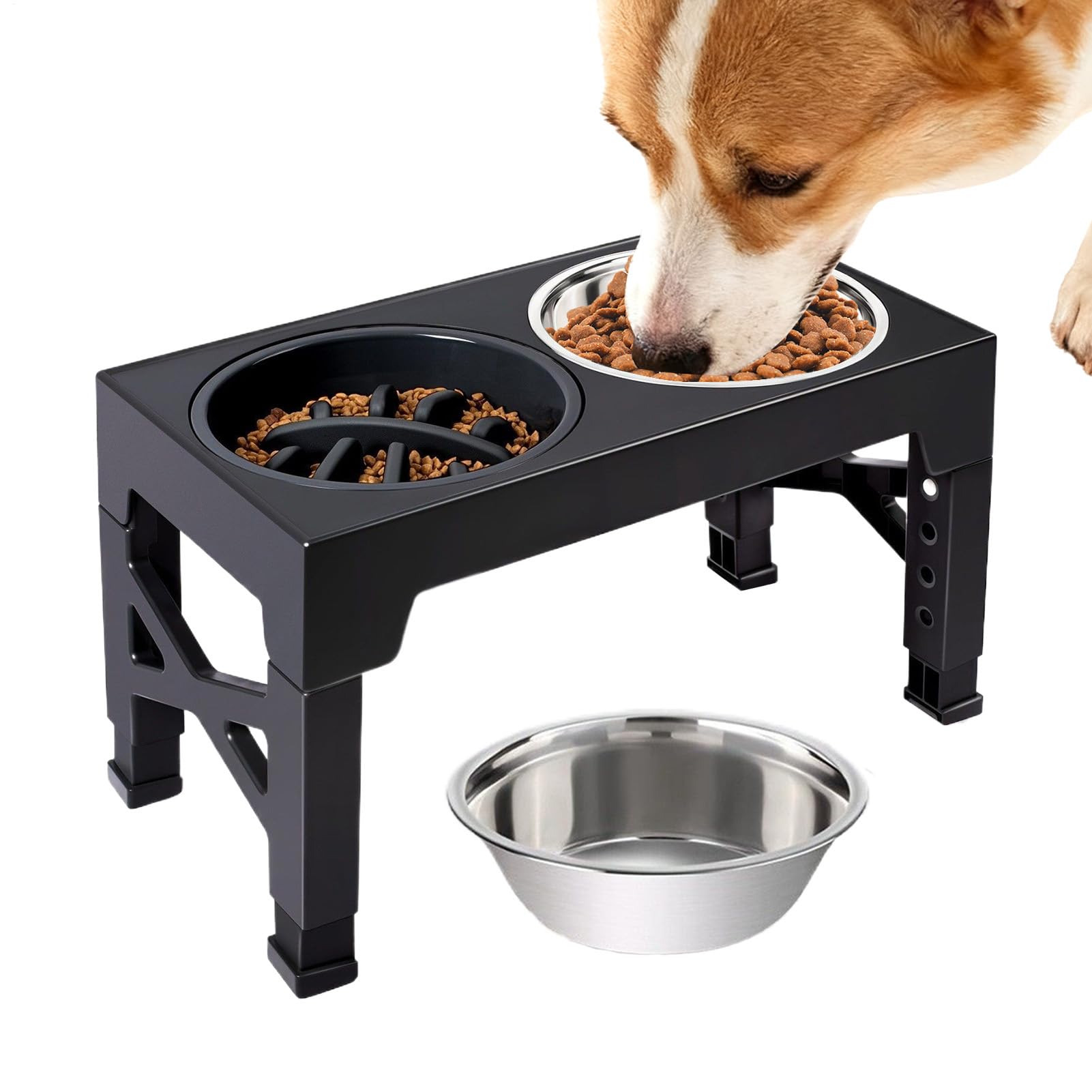Bols d'eau pour Chien Support Réglable À 5 Niveaux | 2 Bols Surélevés Mange-Lent Pour Nourriture Pour Chiot Chat Alimentation et Boisson Maison