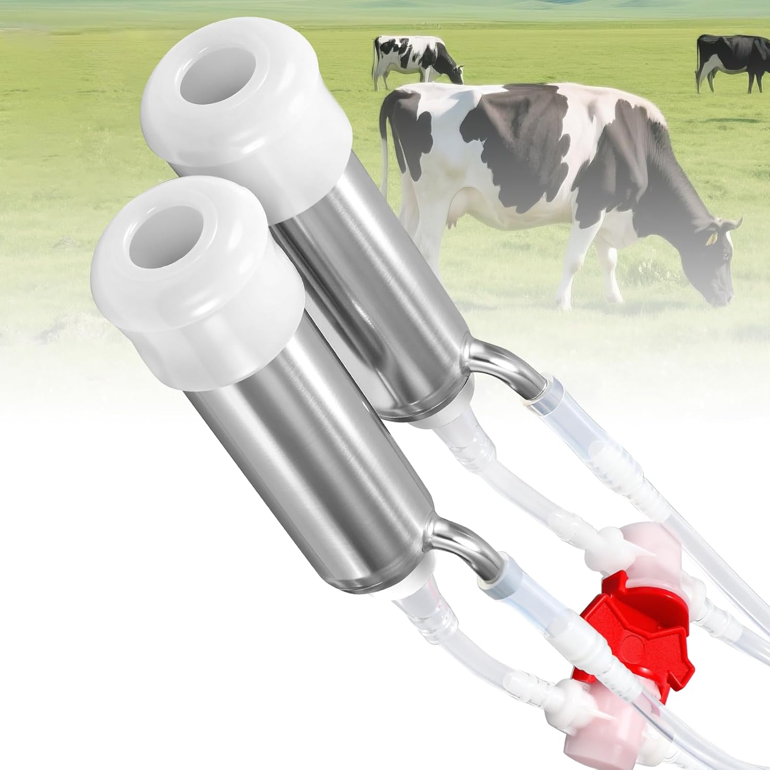 φ25mm Double Head Teat Cup for Cow Milking Machine Accessory, with 5x8mm Hose