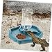 Happyyami Automatic Water Feeder for Bearded Dragon Reptile Turtle Tortoise Pet Sturdy Easy to Clean Leakproof Design