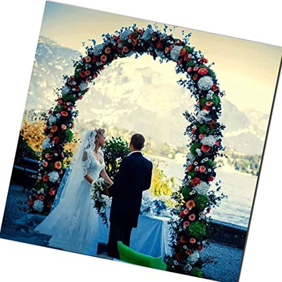 Garden Arch Trellis for Climbing Plants, Metal Garden Arbor Pergola Archway Roses Vines Support Rack with Base for Outdoor and Indoor Easy-to-Assemble 4.6/8.5/11ft Wide (Color : White, Size : 1.8mx2