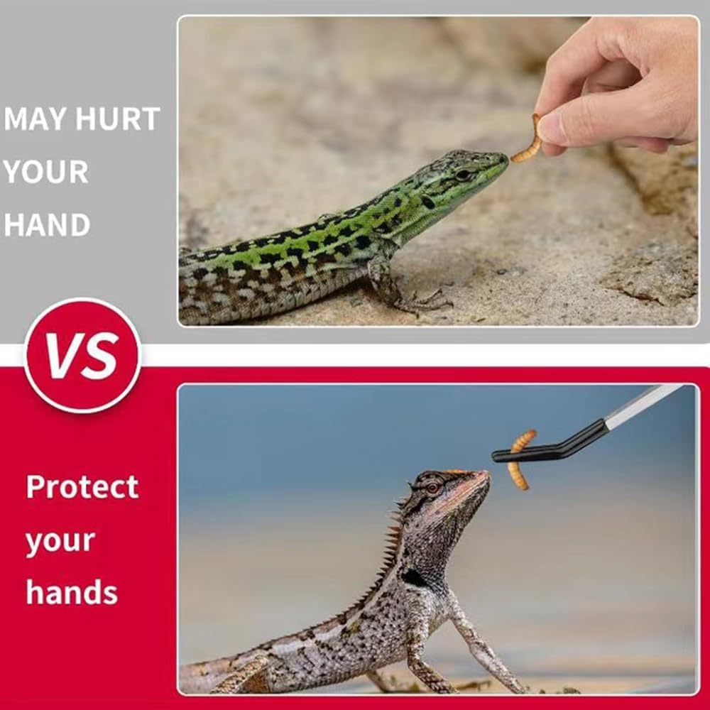 Futterzange mit Gummispitze für Reptilien, Reptilien-Futterwerkzeug-Set, lange Pinzette für Aquarien oder Bastelarbeiten, Bartdrache, Reptilien, Gecko, Frosch, Schlangen, Tankgehege
