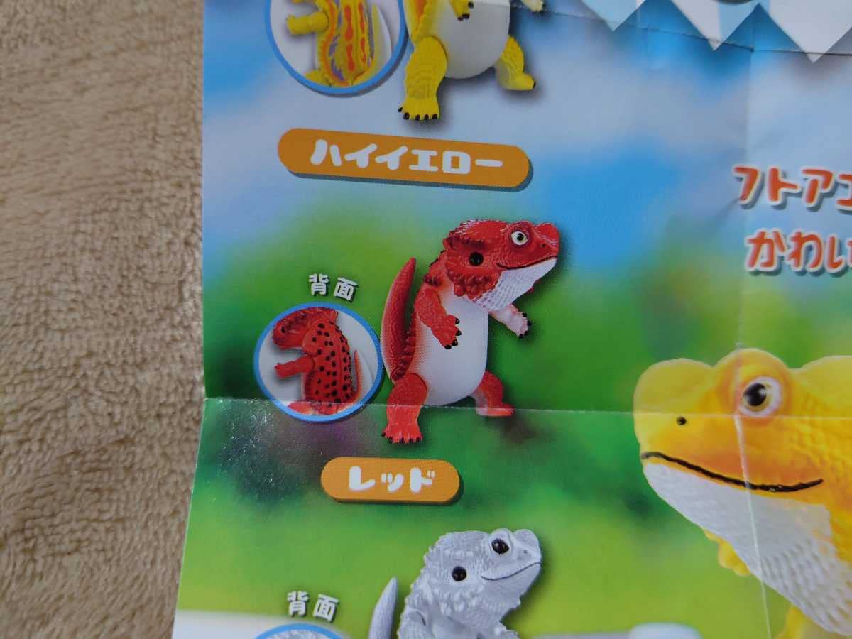 Amazon.co.jp: フトアゴン FUTOAGON 3個セット 未開封 レッド 