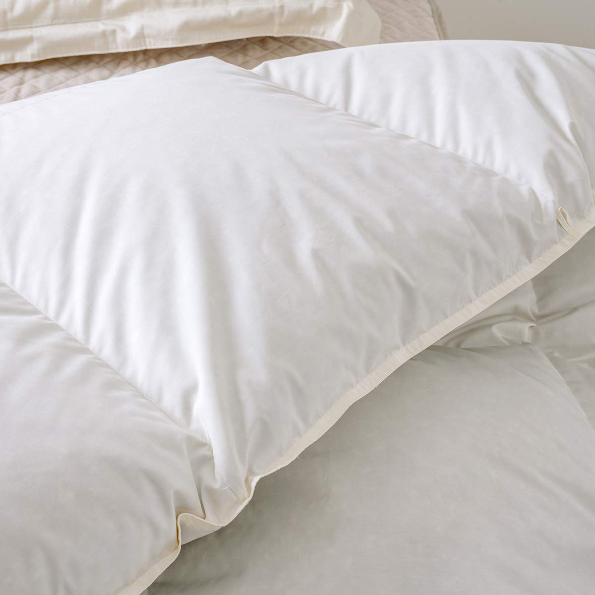 Amazon｜西川 羽毛布団 クイーン 厳選ダウン85％ 軽量生地 DP350 日本