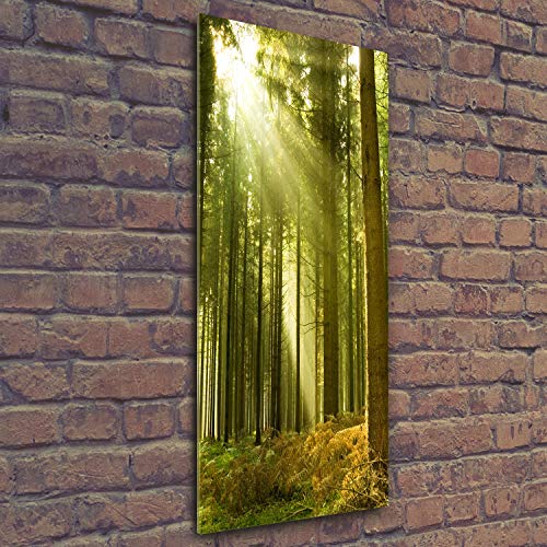 Impression sur verre acrylique 50x125 cm Tulup tableau mural vert - 3