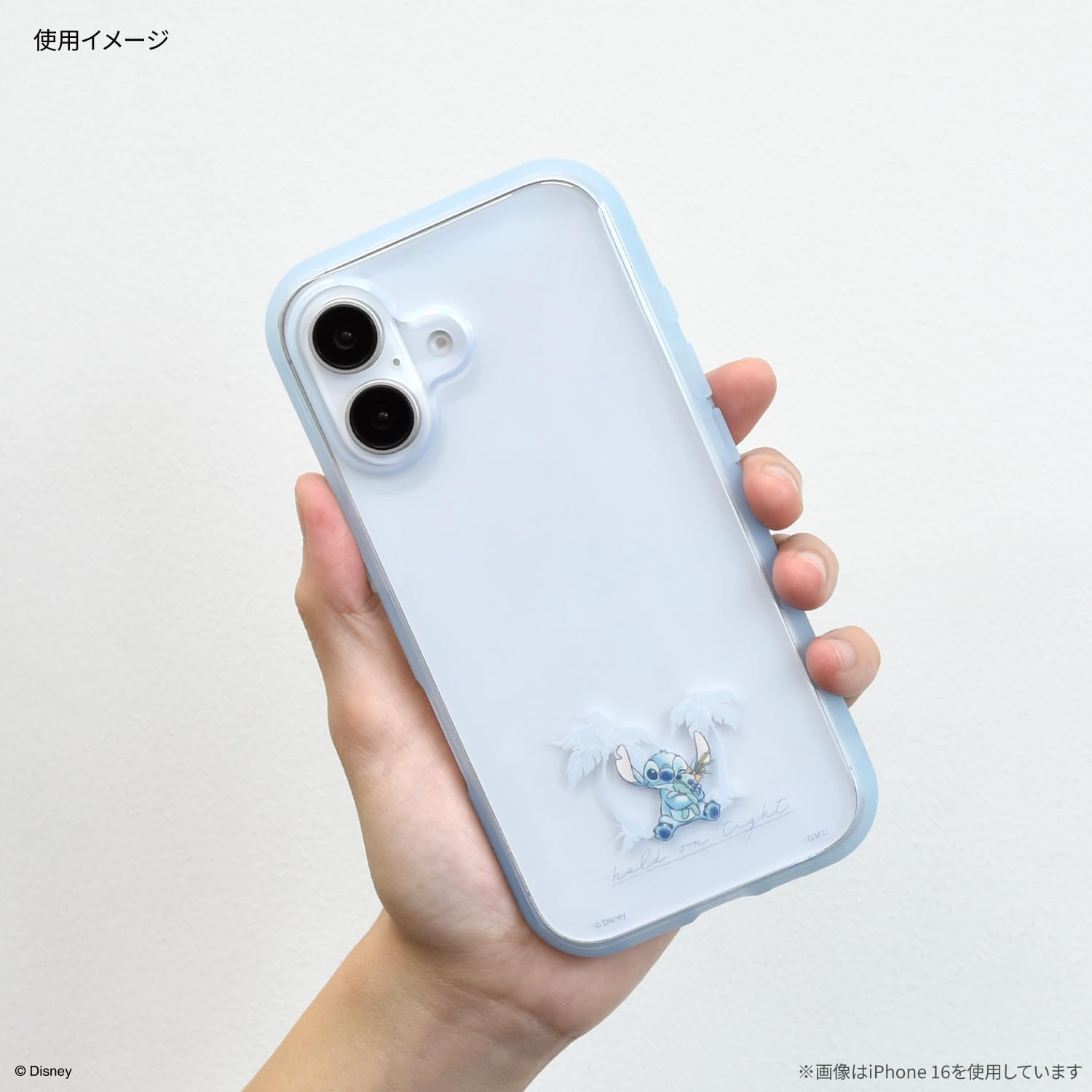Amazon.co.jp: グルマンディーズ ディズニーキャラクター ／ IIIIfit