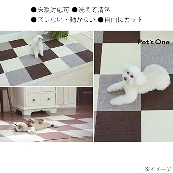 Amazon.co.jp: カインズ(CAINZ) ペット用消臭吸着マット 9枚入