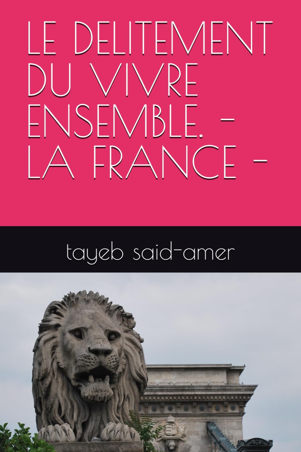 LE DELITEMENT DU VIVRE ENSEMBLE. -LA FRANCE -