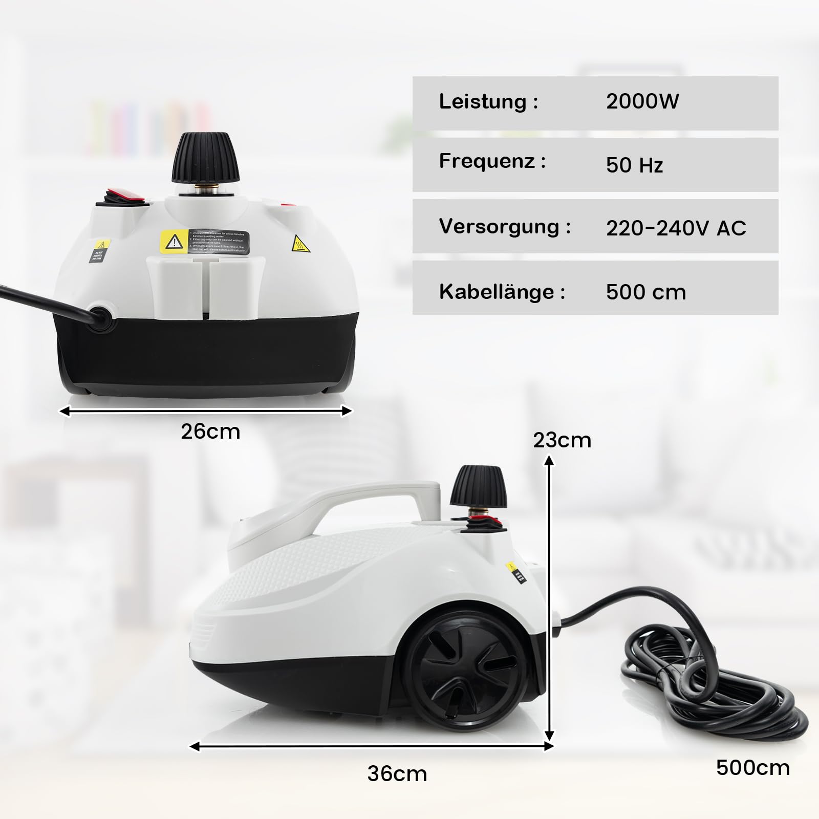 RELAX4LIFE Dampfreiniger 2000W, Steam Cleaner mit 29 Zubehörteilen (Weiß)