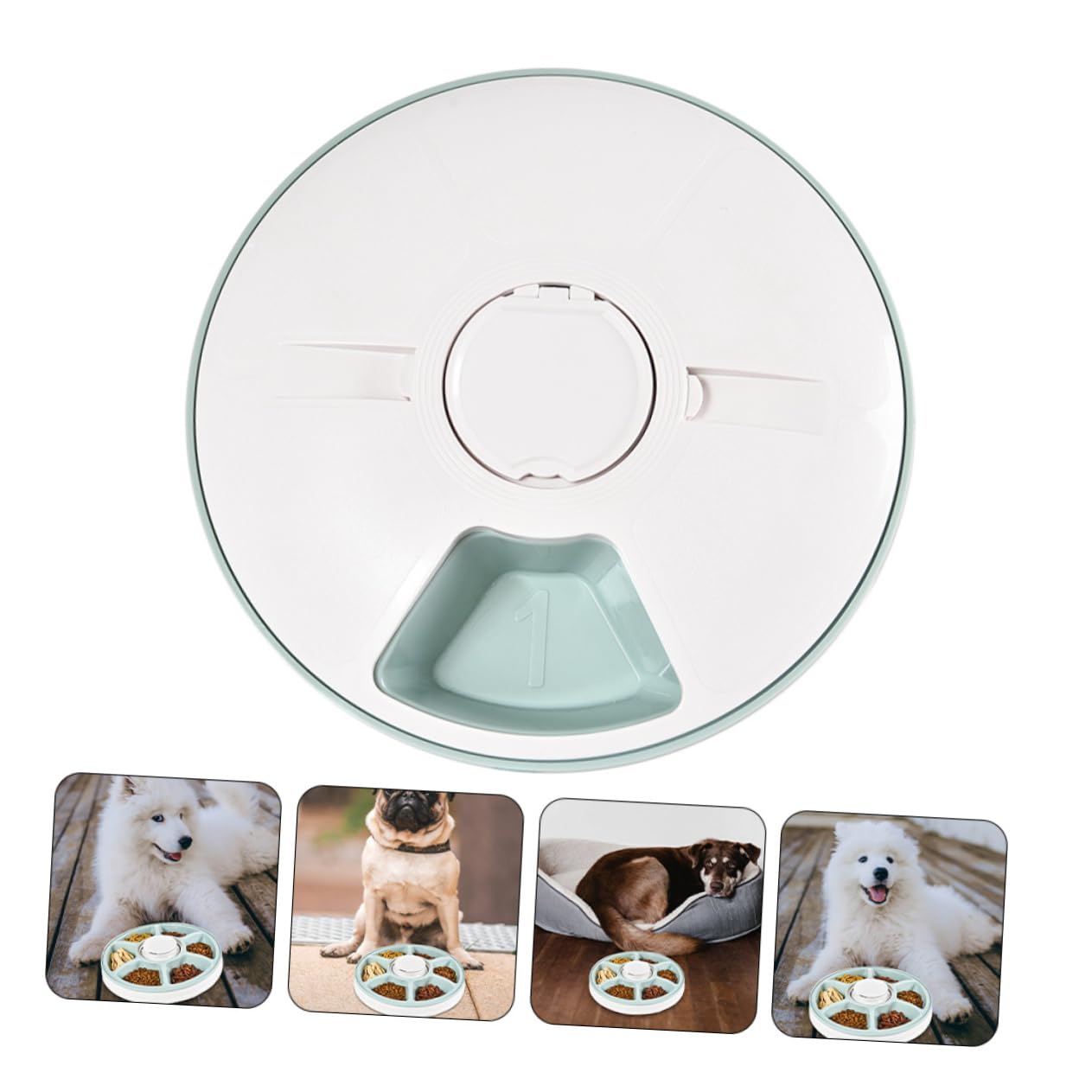 UKCOCO Ciotola per Alimenti per Cani Staccabile Design Antiscivolo Facile da Pulire Somministrazione di Cibo Adatta per Pasti Pratica per Animali Domestici