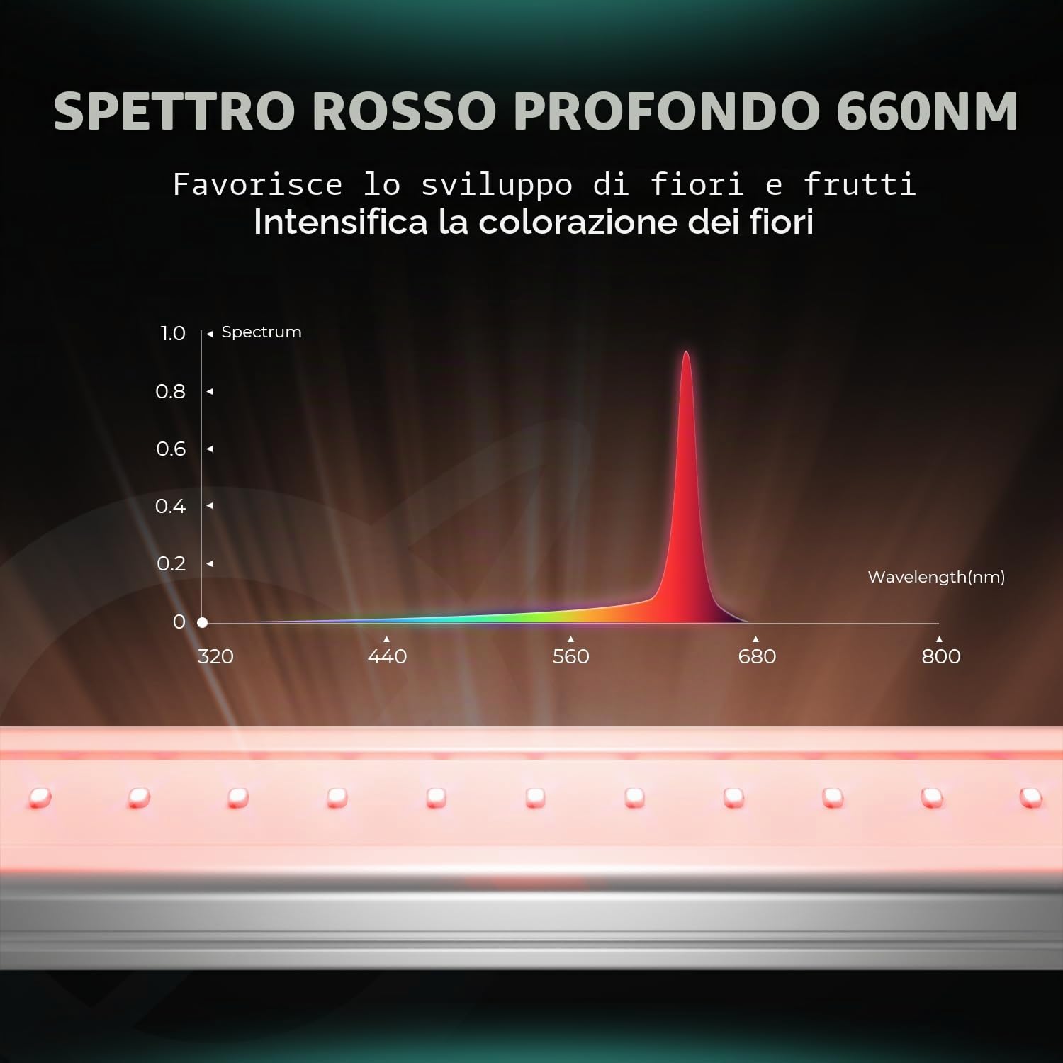 MARS HYDRO ADlite RB30 - Lampada a LED per piante 440 nm e 660 nm, significativo aumento della resa del raccolto, 60 cm Grow Light 30 Wx2, striscia rossa e blu per tende