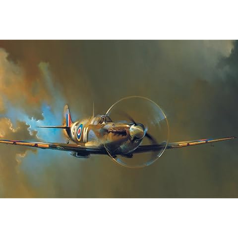 ART.COM Wall Art Print Spitfire by Barrie Clark, 36