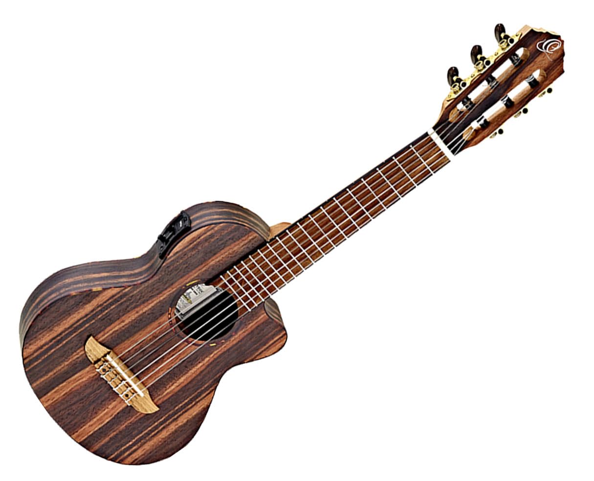 Amazon.com: Ortega RGL5 EB-CE - Guitalele : Musical Instruments