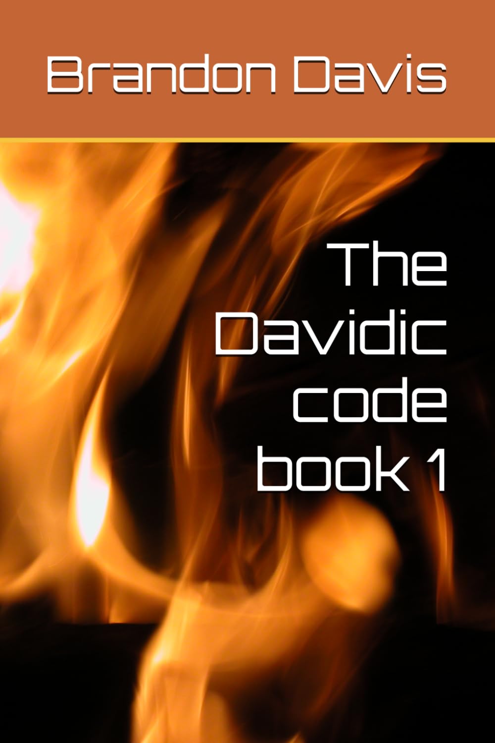 The Davidic code book 1