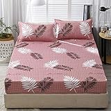 悠米 坚果炒货 休闲零食 每日坚果盐焗巴旦木罐装227g（新老包装随机发货） Fried Yomi Nuts Recreational Snacks Daily Nut Salt Baked Padan Wood Canned 227g (Random Delivery of Old and New Packages)