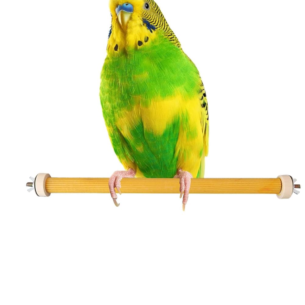Amazon | オウム用の木の鳥とまり木 | 天然木インコの枝の足研ぎ