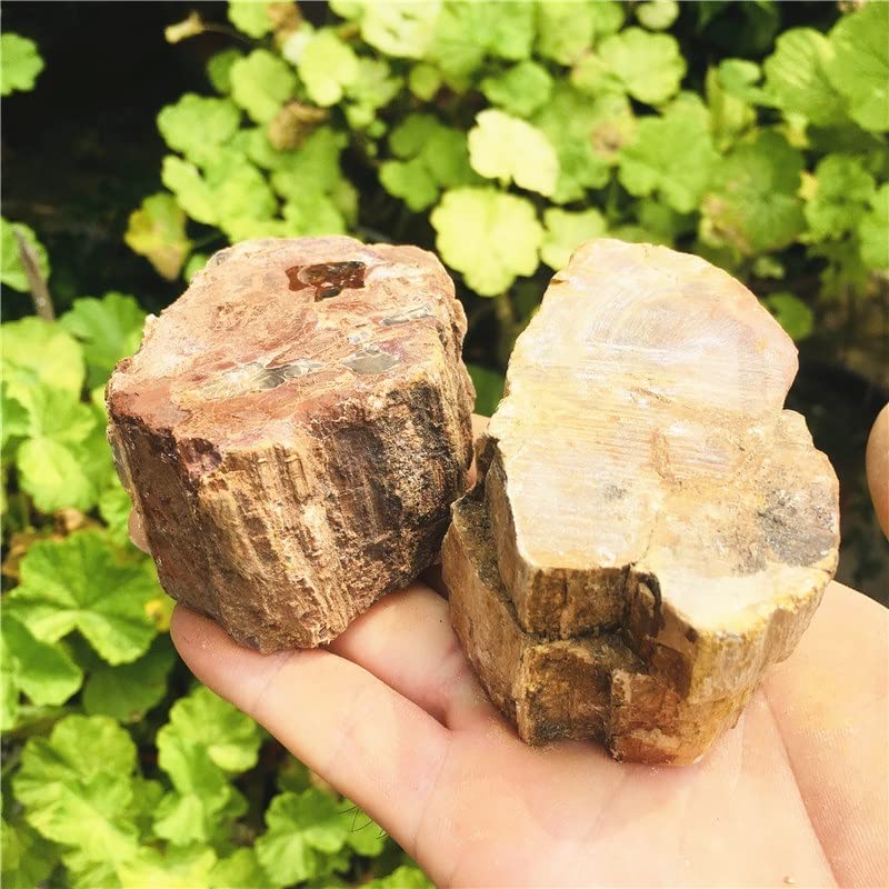 Decoración de cristal natural de 1.5kg con pulidor de madera para interiores 5