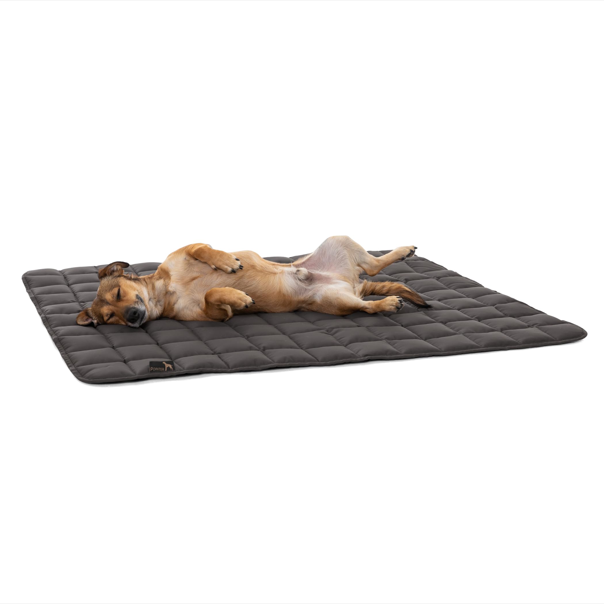 Pointer | Hundedecke 130 x 110 cm, Gepolstert & Strapazierfähig - Hundematte Waschbar bis 95°C, Liegedecke für Boden oder Sofaschutz - Outdoor geeignet (XL - 130x110 cm, Grau)