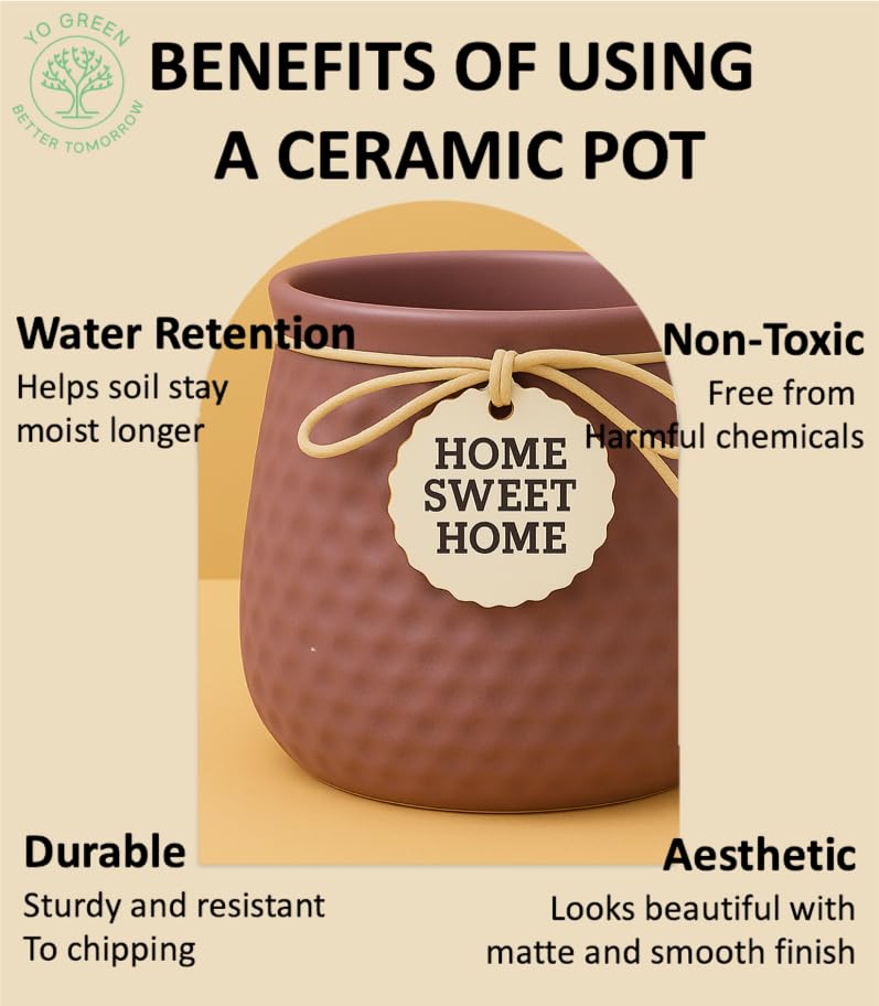 Image of Yo Green Ceramic Plant Pot for Indoor & Outdoor, Modern Planter for Home & Office Decor, Durable, Stylish Finish, Ideal for Tabletop, Shelf, Balcony, Great Gift Idea (Dark Mauve, 3 Inches)