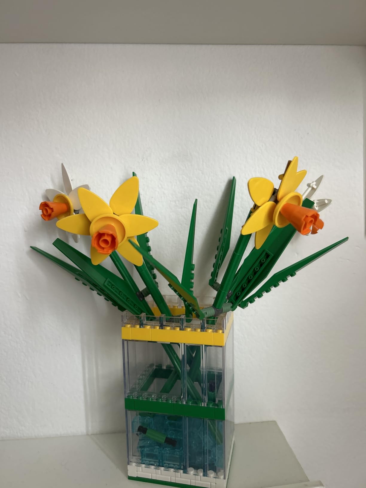 Immagine del cliente