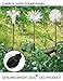 Bright Zeal Solar Stake Lights, Life-Size Figurines LED, Assorted/Multicolor, 3 Count